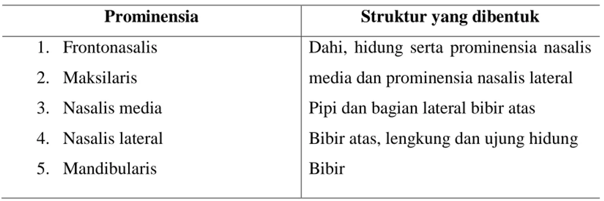 Tabel 1. Struktur pembentuk wajah 1,6 