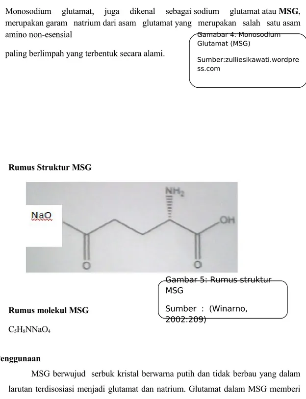 Gambar 5: Rumus struktur  MSG