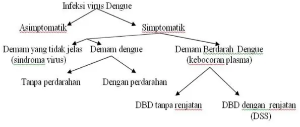 Gambar 2.2 manifestasi klinik infeksi virus dengue ( WHO, 1997)