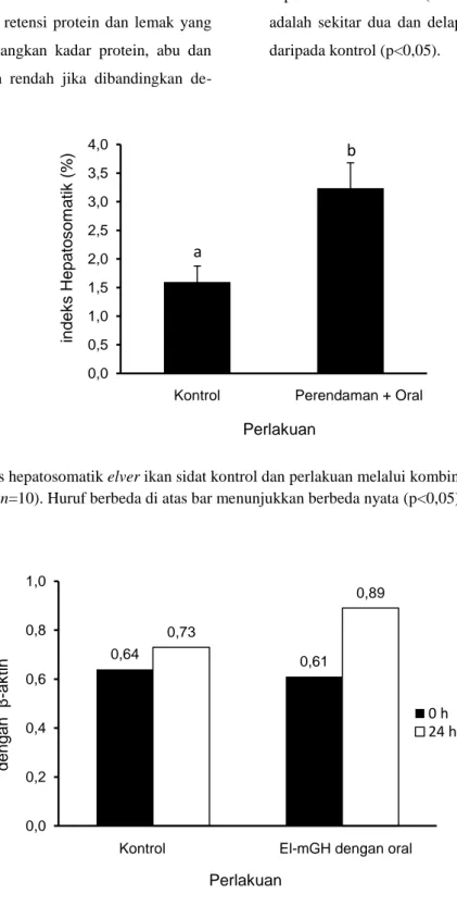 Gambar 2. Indeks hepatosomatik elver ikan sidat kontrol dan perlakuan melalui kombinasi perendaman dan  oral  (n=10)
