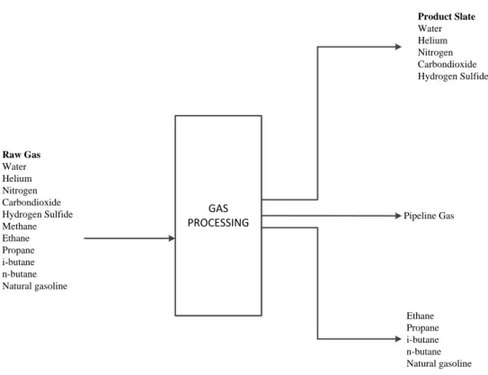 Gambar 2.3. Tinjauan umum produk yang mungkin terbentuk dari proses pengolahan gas  (Kidnay dan Parrish, 2006)