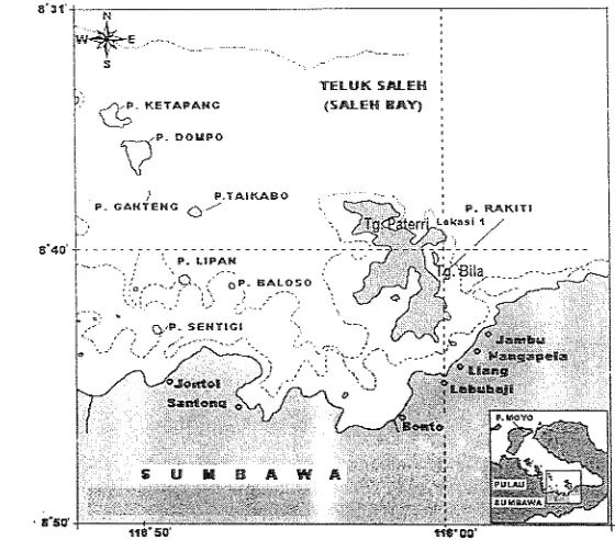 Gambar 1. Peta lokasi pernasangan bubu di Teluk Saleh, Sumbawa, Nusa Tenggara Barat 