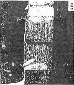 Gambar 10 :  Profil  patahan hook str. B.U')