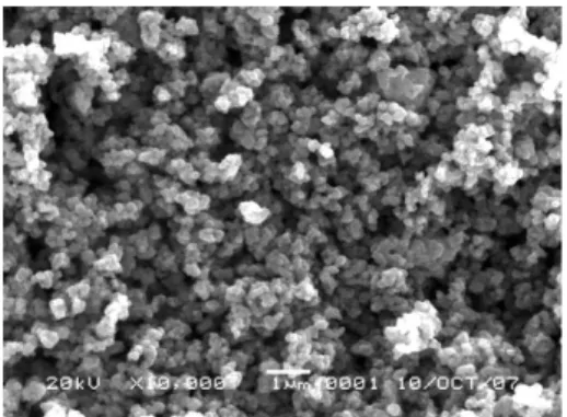 Gambar 1. Hasil SEM untuk fotokatalis A. TiO 2  B. 1%AAJP 300 / TiO 2 C. 5%AAJP 300 / TiO 2  D