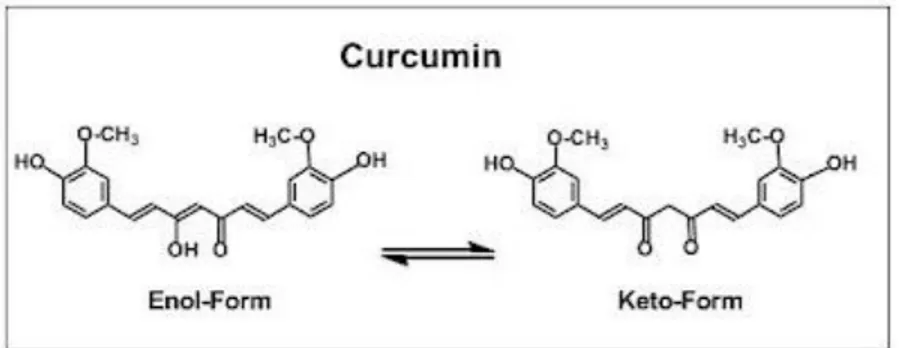 Gambar 2.4 Struktur curcumin (Katsuyama et al., 2007 ) 