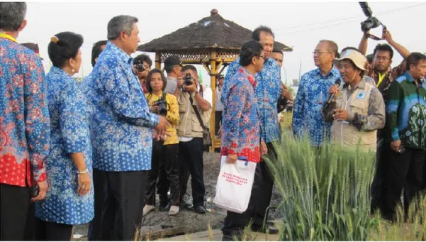Gambar 30.    Presiden SBY memeras nira batang sorgum 