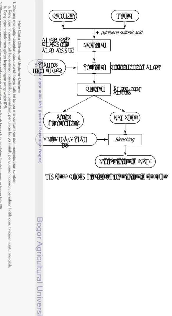Gambar 11  Diagram alir sintesis alkil poliglikosida satu tahap.    