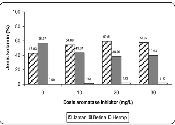 Gambar 1. Persentase rata-rata jenis kelamin ikan nila merah (Oreochromis sp.). 