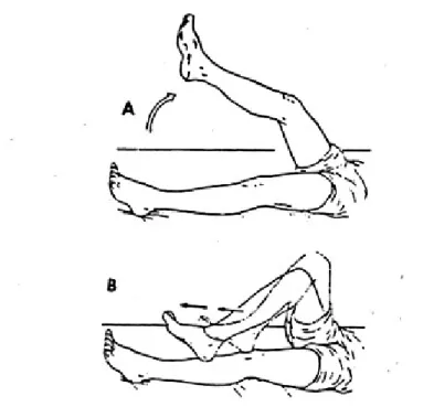 Gambar 5. Tes Tumit Lutut