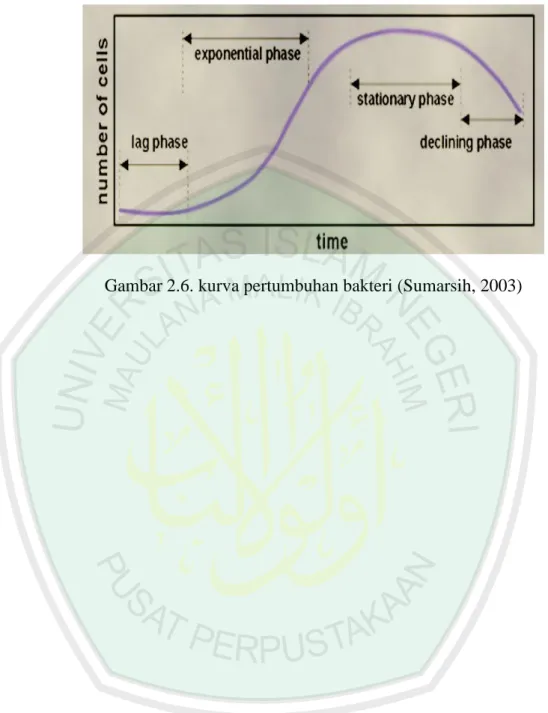 Gambar 2.6. kurva pertumbuhan bakteri (Sumarsih, 2003) 