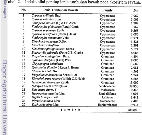 Tabel  2.  Indeks nilai penting jellis tumbuhan bawah pada ekosistem savana. 