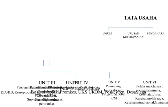 Gambar 2.BaganStrukturOrganisasi UPT Puskesmas Randublatung