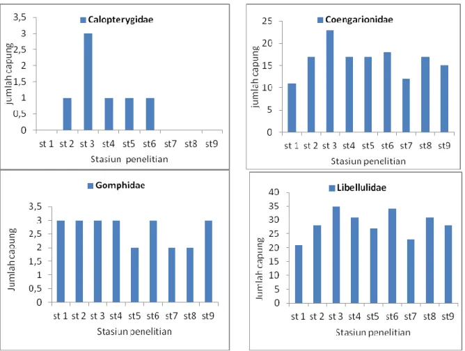 Gambar 2. Komposisi capung berdasarkan stasiun penelitian di USU Sumber: Data Primer  (2013)