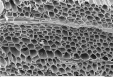 Gambar 3. Topografi permukaan arang aktif Figure 3. Topography of the activated charcoal surface