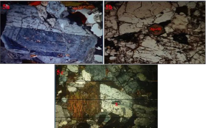 Foto 5a. Fotomikrograf mineral plagioklas memperlihatkan tekstur zoning. 5b. Fotomikrograf  mineral  apatit  yang  terdapat  dalam  batuan  beku  granit  pada  stasiun  7  daerah  Monto