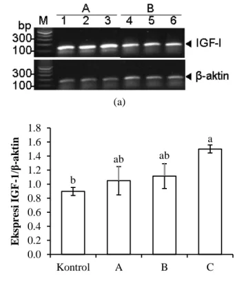 Gambar  2.  Ekspresi  (a),  dan  kuantifikasi  tingkat  ekspresi  gen  insulin-like  growth  factor-1  (IGF-1; 