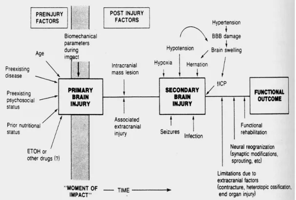 Gambar 1 : Faktor-Faktor    yang memengaruhi  Prognosis Setelah Cedera Otak  (Vollmer.D.G., 1993)