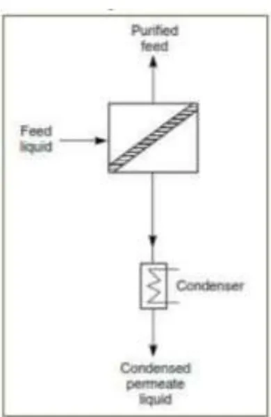 Gambar 1. Skema proses pervaporasi (diadaptasi dari [1]) 