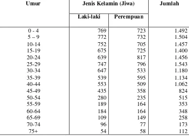 Tabel 8.  Jumlah Penduduk Menurut Umur dan Jenis Kelamin Tahun 2004 