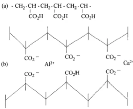 Gambar 4.2  Struktur asam poliakrilat (a) dan ikatan silang melalui kalsium dan  ion aluminium (Mc cabe 2008, p.247) 