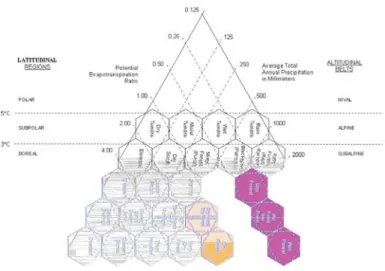 Gambar 1. Matrik pembagian ekosistem berdasarkan Holdrige Life Zone Figure 1. Matrix of ecosystem zonation based on Holdrige Life Zone