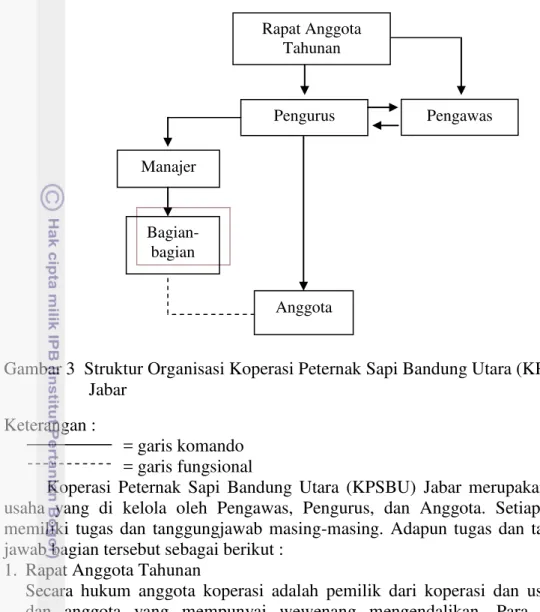 Gambar 3  Struktur Organisasi Koperasi Peternak Sapi Bandung Utara (KPSBU)  Jabar 