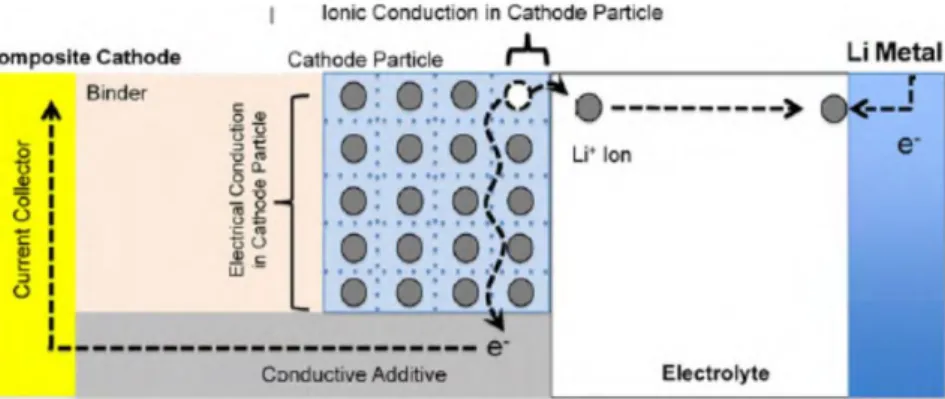 Gambar 2.3 Fenomena Konduktifitas  Ionik dan Elektronik pada Material Katoda  (Park, 2010) 