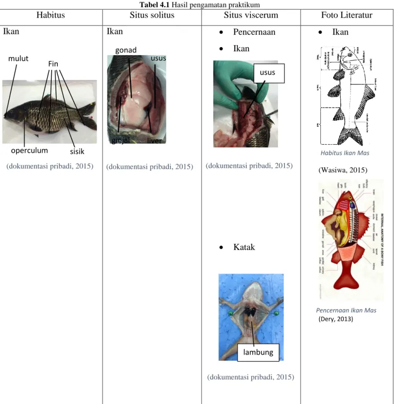 Tabel 4.1 Hasil pengamatan praktikum 