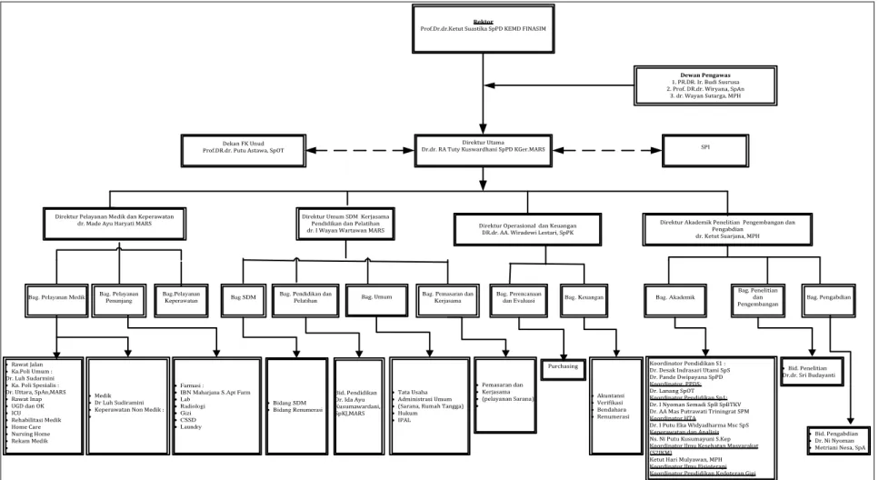 Gambar 2.1 Struktur Organisasi Rumah Sakit Pendidikan Universitas Udayana (sumber: Dokumen RS