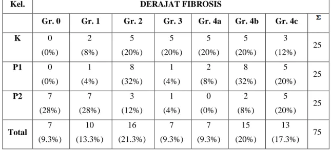 Tabel 2 Hasil pengamatan derajat fibrosis 