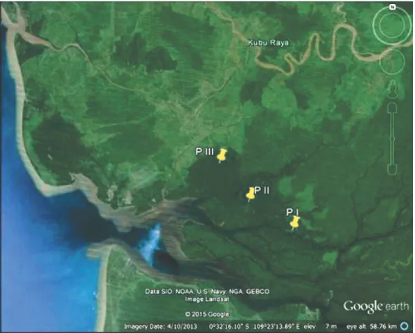 Gambar 1.  Lokasi penelitian di kawasan hutan Kubu Raya.