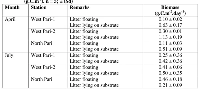 Tabel 10 : Biomas serasah daun lamun yang melayang dan di dasar (g.C.m -2 ).  