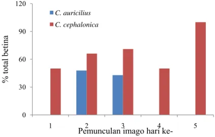Gambar 1  Persentase total imago betina T. chilonis pada dua jenis inang  030609012012345% total betina