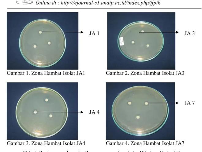 Gambar 1. Zona Hambat Isolat JA1    Gambar 2. Zona Hambat Isolat JA3 