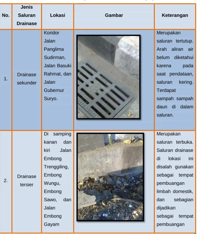 Tabel 2.3 Jenis Jaringan Drainase Kawasan Segitiga Emas 