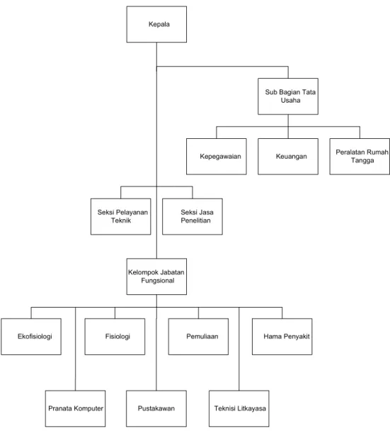 Gambar 3.1. Struktur Organisasi Perusahaan 