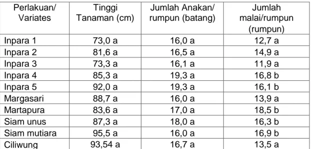 Tabel  5.  Rataan  tinggi  tanaman,  jumlah    anakan  dan  jumlah  malai  Kab. 