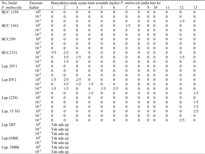 Tabel 3. Patogenitas isolat/galur P. multocida dari BCC sesudah kultivasi pada media BHI plus FCS terhadap anak ayam  Banyaknya anak ayam mati sesudah injeksi P