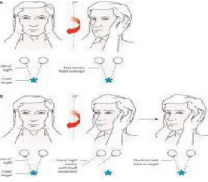 Gambar 11. Head thrust test