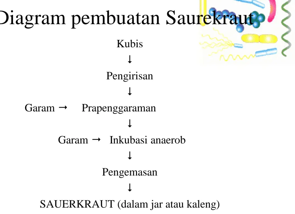Diagram pembuatan Saurekraut Kubis  Pengirisan  Garam  Prapenggaraman 