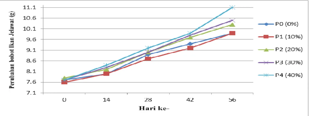 Gambar  1.  Grafik  Perubahan  Bobot  Rata-Rata  Individu  Ikan  Jelawat  (Leptobarbus  hoevenii) Pada Setiap Perlakuan Selama Penelitian
