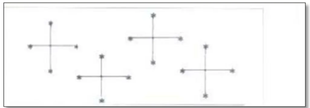 Gambar 5 Metode Pengambilan Secara Diagonal  b. Metode Zig zag 