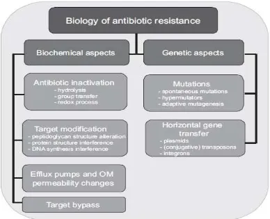 Gambar 1. Aspek genetic dan biokimia mekanisme resistensi antibiotik 