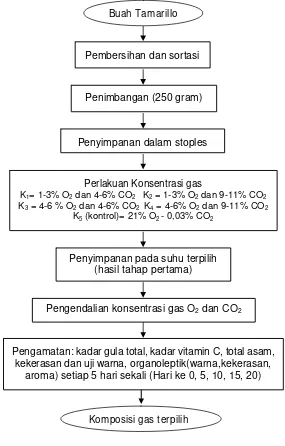 Gambar 3  Diagram alir penentuan komposisi gas O2 dan CO2 (Tahap 2). 