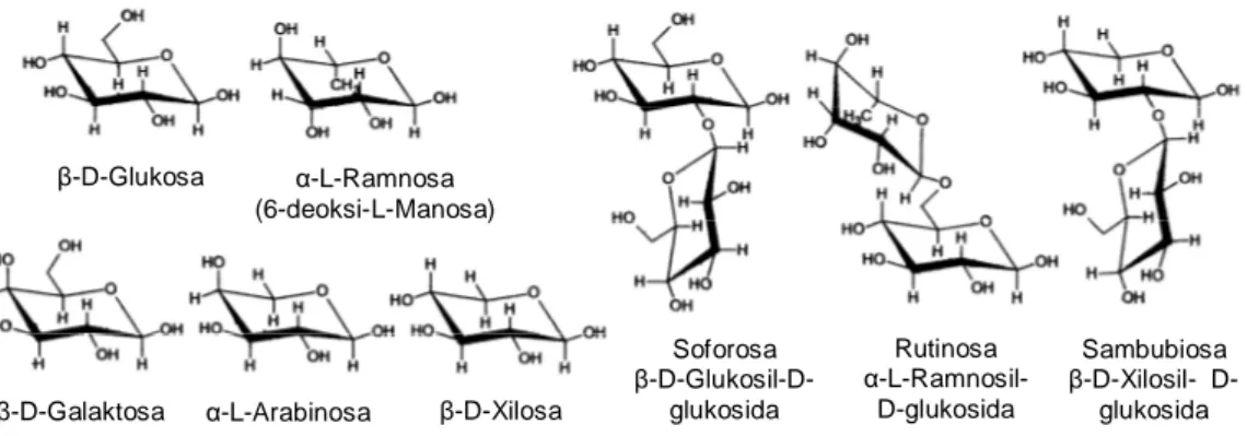 Gambar 2.3  Unit glikosil dari antosianin. 