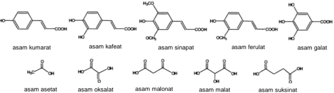 Gambar  2.5  menunjukkan  beberapa  macam  antosianin  yang  berikatan  dengan  gugus gula dan asam organik
