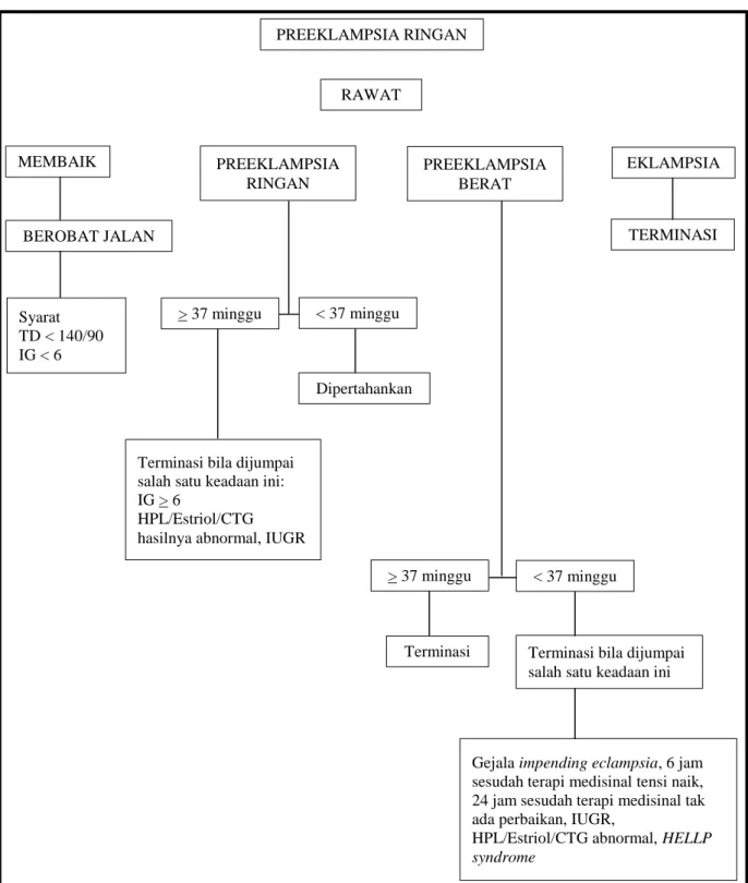 Gambar 1. Protokol Tindakan Obstetrik pada Preeklampsia dan Eklampsia (Anonim, 2005) 