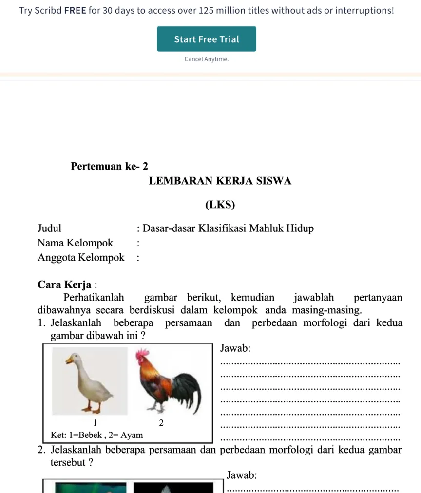 gambar dibawah ini ?