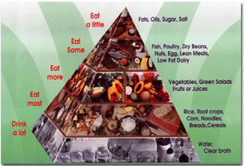 Gambar 2. Piramida makanan