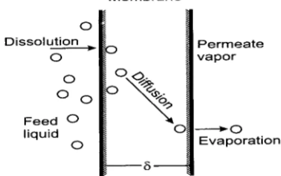 Gambar 1. Prinsip kerja membran pervaporasi (Feng Huang, 1997)